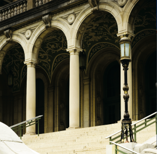 Next Steps in Higher Education